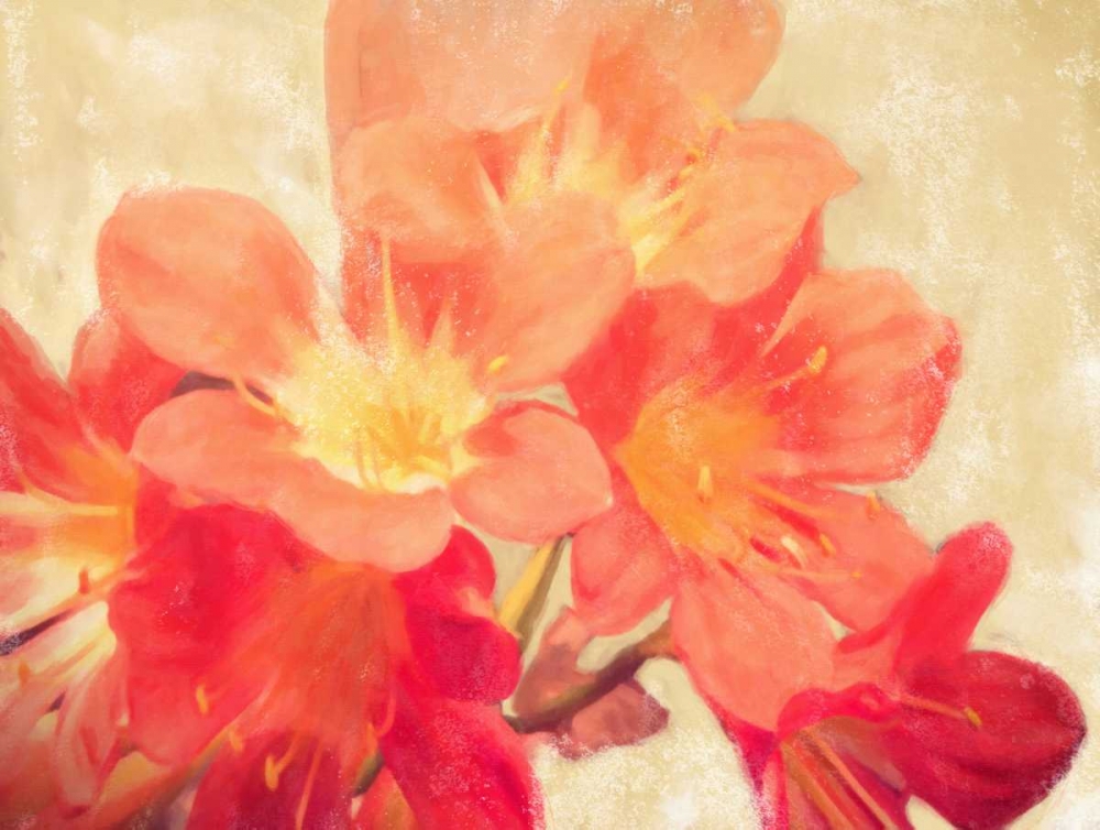 Sun Fire Florals art print by Cynthia Alvarez for $57.95 CAD