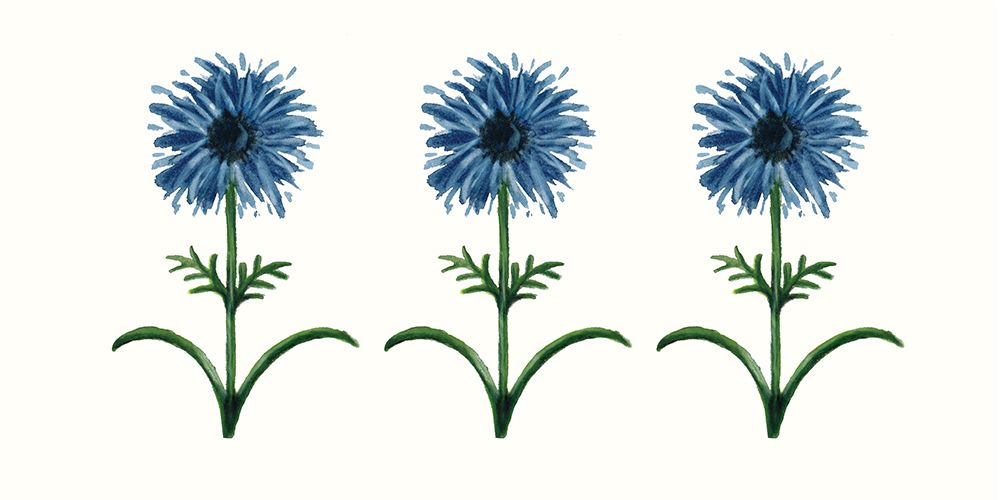 Blue Daisies art print by Corinne Rose Design for $57.95 CAD