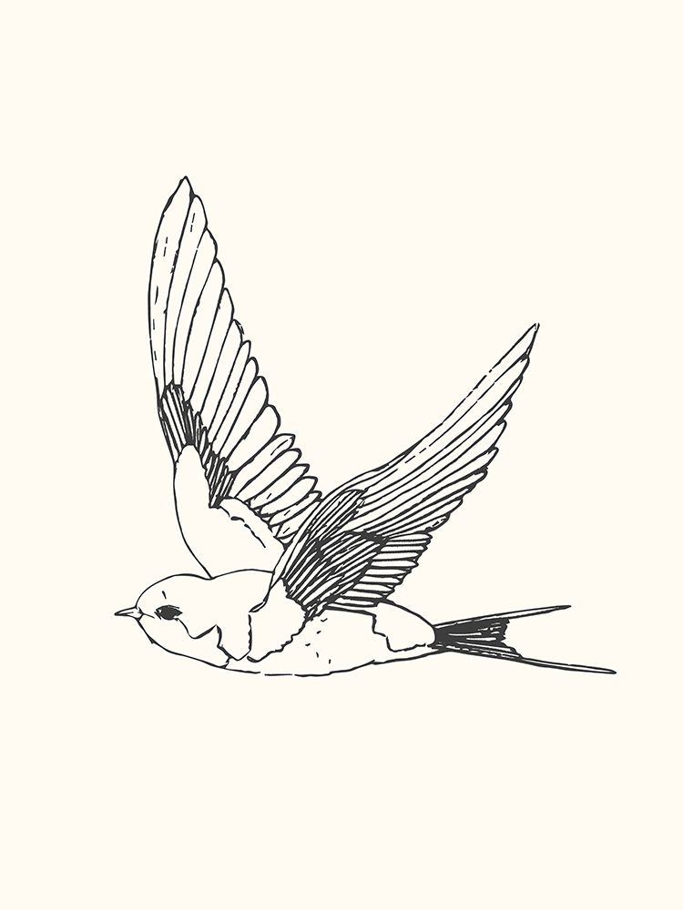 Bird Sketch Swallow 1 art print by Sweet Melody Designs for $57.95 CAD