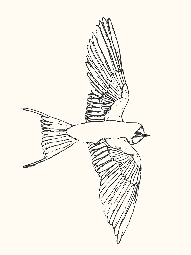 Bird Sketch Swallow 2 art print by Sweet Melody Designs for $57.95 CAD