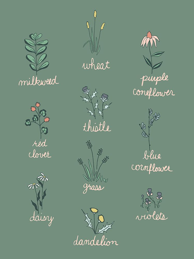 Wildflower Chart art print by Sweet Melody Designs for $57.95 CAD