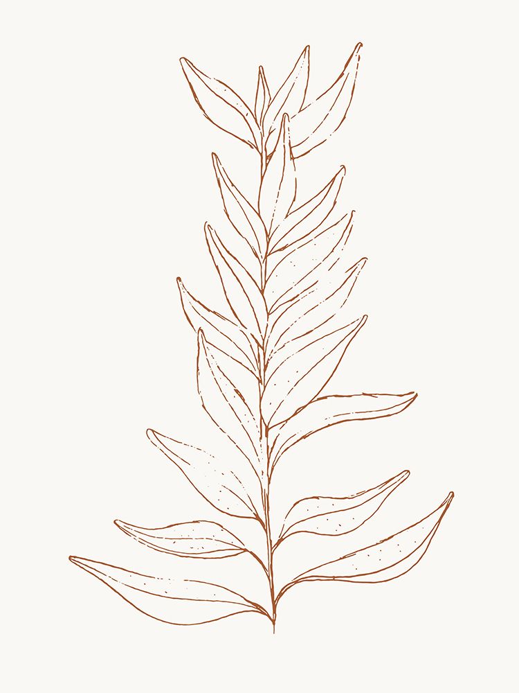 Spice Up Your Life Botanical Outline 2 art print by Sweet Melody Designs for $57.95 CAD