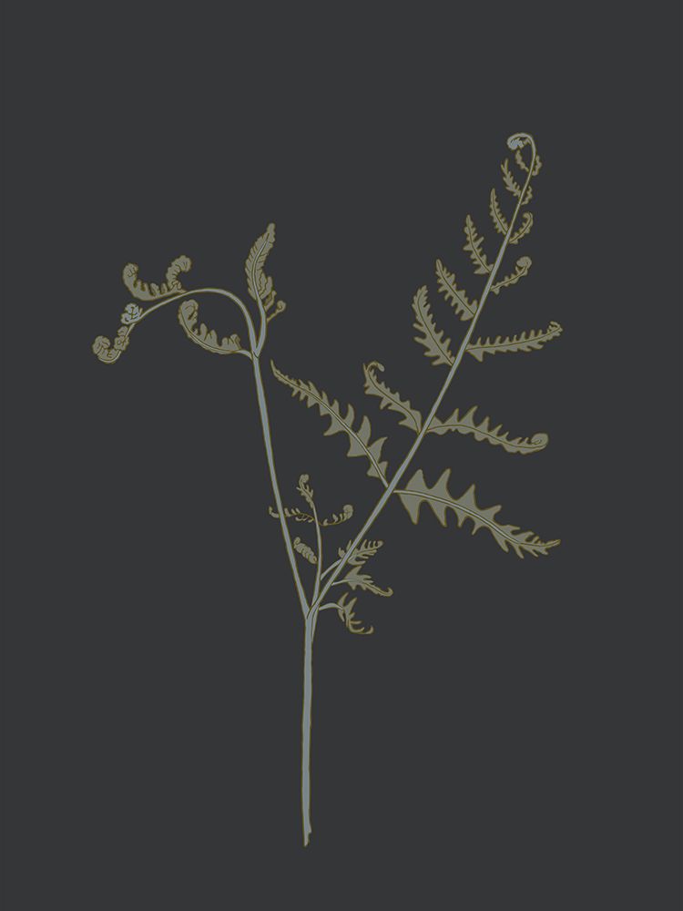 Peaceful Retreat Fern 2 art print by Sweet Melody Designs for $57.95 CAD