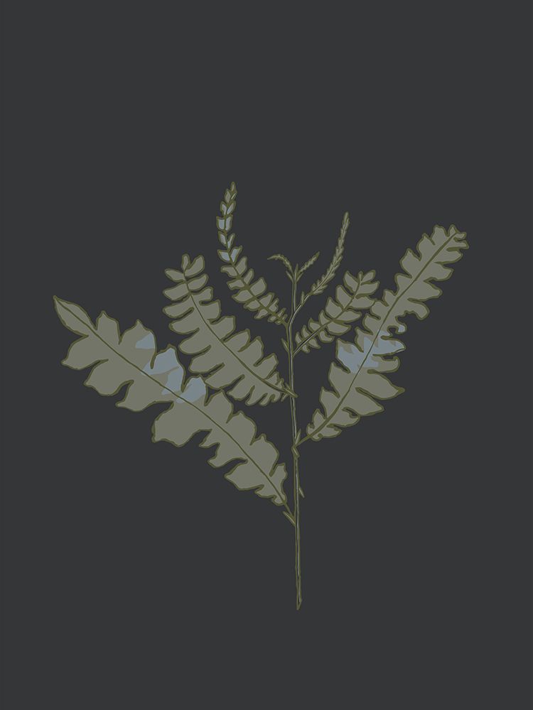 Peaceful Retreat Fern 3 art print by Sweet Melody Designs for $57.95 CAD