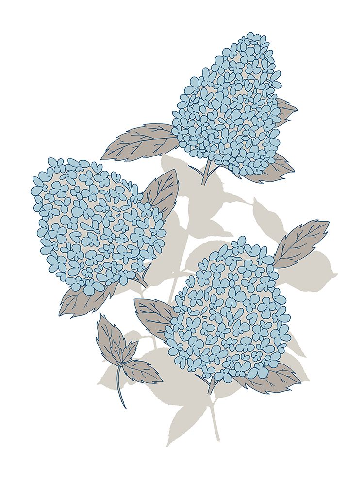 Botanical Hydrangea art print by Sweet Melody Designs for $57.95 CAD