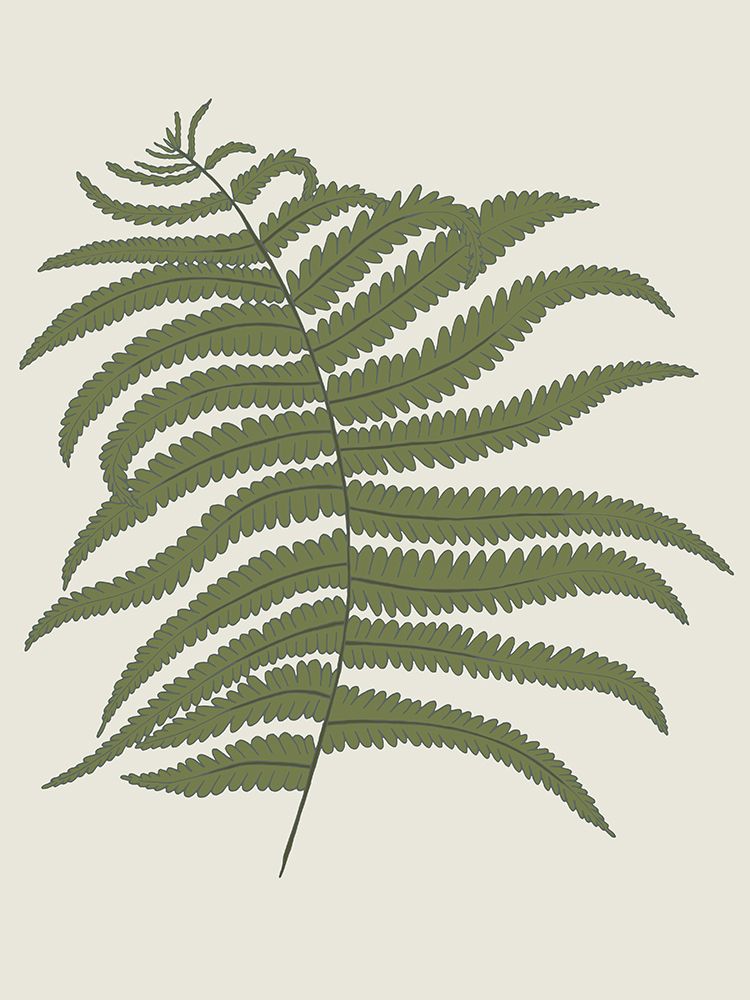 Fern 2 art print by Sweet Melody Designs for $57.95 CAD