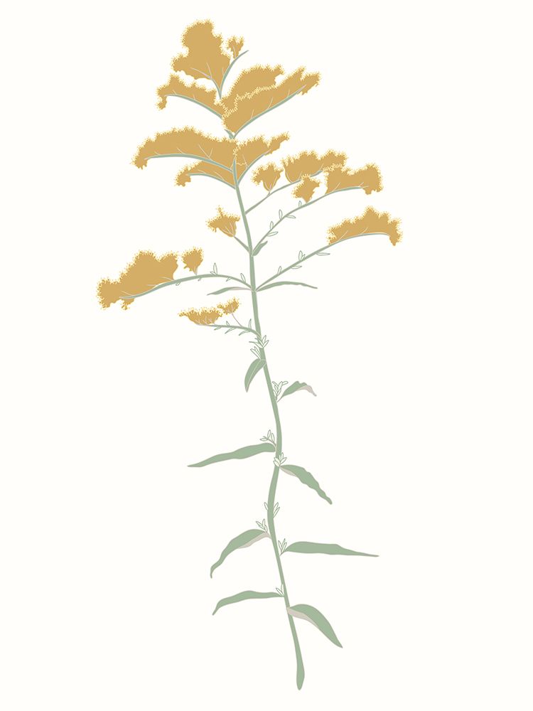 Wildflower Goldenrod art print by Sweet Melody Designs for $57.95 CAD