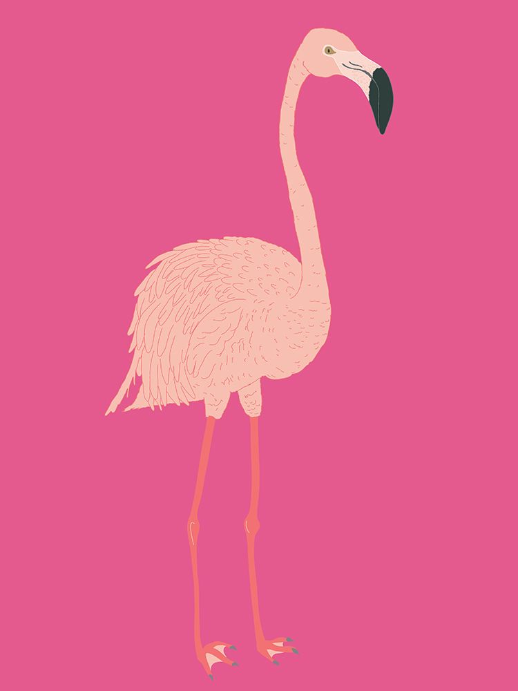 Pink Flamingo art print by Sweet Melody Designs for $57.95 CAD