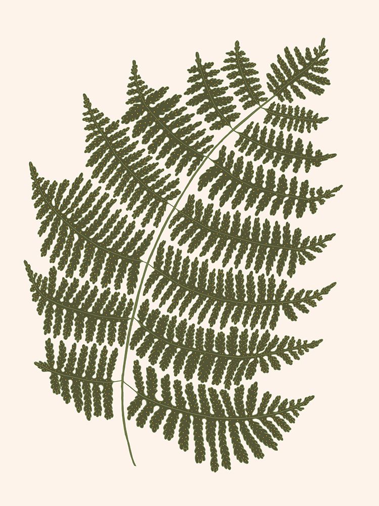 Forest Fern Blush 1 art print by Sweet Melody Designs for $57.95 CAD