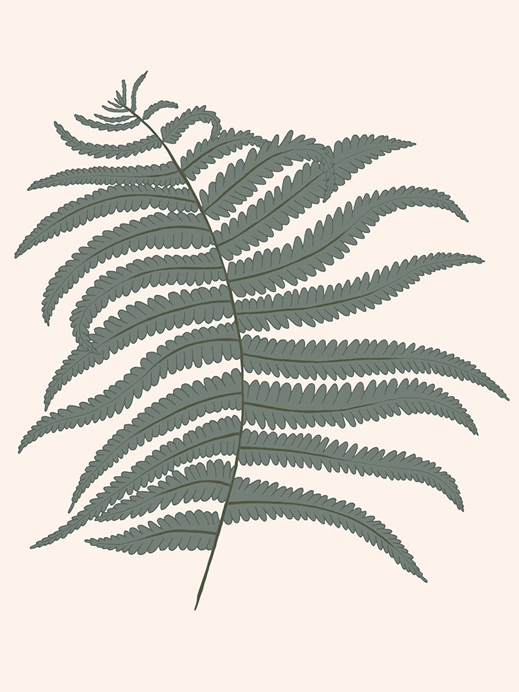 Forest Fern Blush 2 art print by Sweet Melody Designs for $57.95 CAD