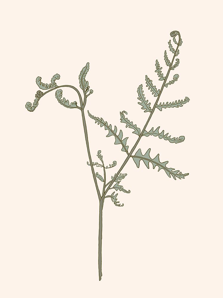 Forest Fern Blush 3 art print by Sweet Melody Designs for $57.95 CAD