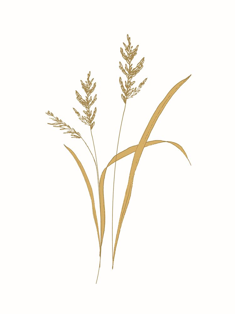 Field Grass Gold 1 art print by Sweet Melody Designs for $57.95 CAD