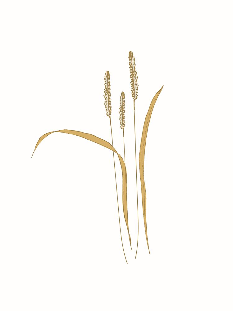 Field Grass Gold 3 art print by Sweet Melody Designs for $57.95 CAD