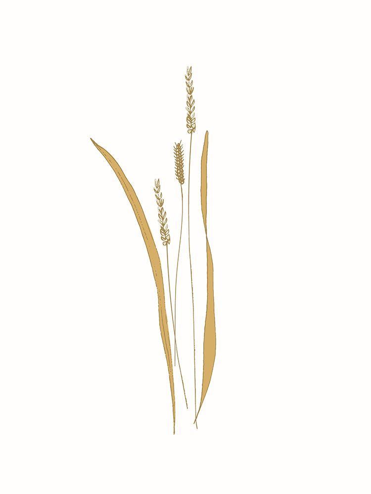 Field Grass Gold 4 art print by Sweet Melody Designs for $57.95 CAD