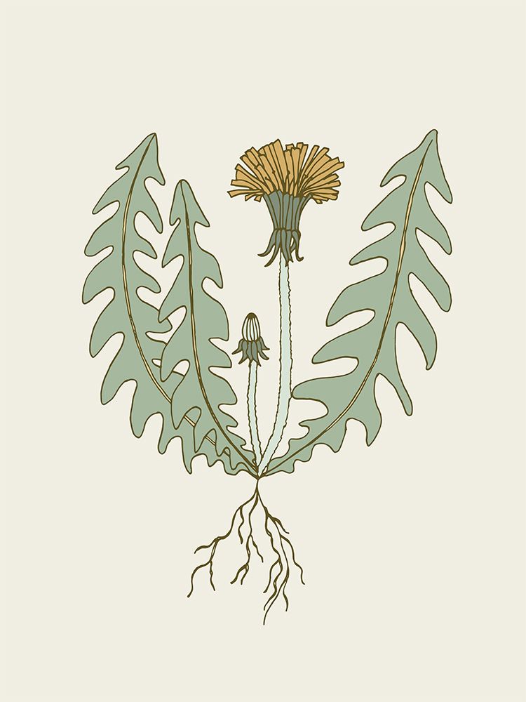 Dandelion Muted art print by Sweet Melody Designs for $57.95 CAD