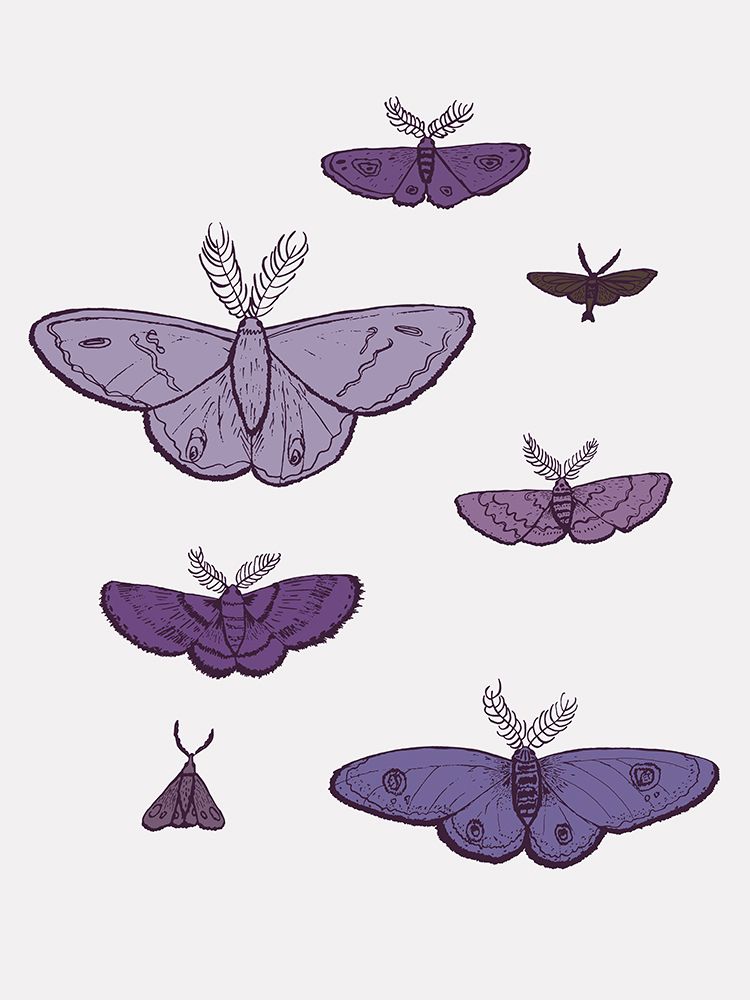 Purple Flight art print by Sweet Melody Designs for $57.95 CAD