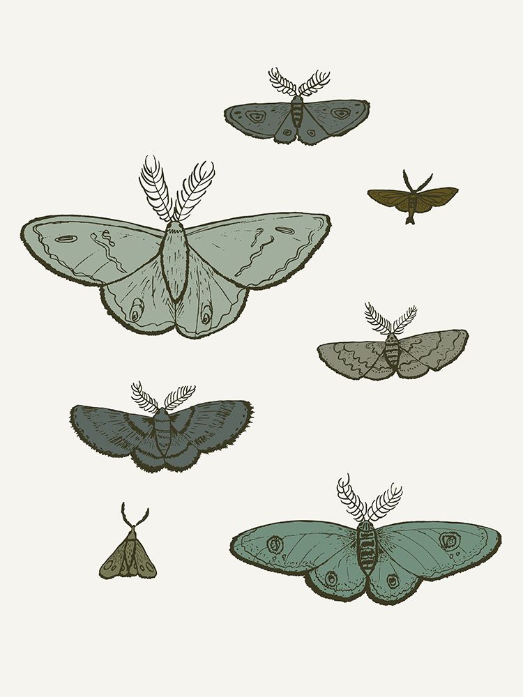 Moths Shades Of Green art print by Sweet Melody Designs for $57.95 CAD