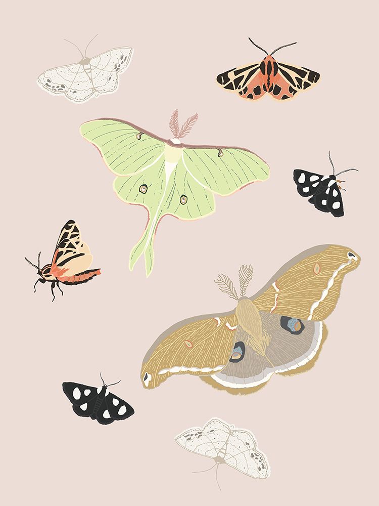 Moths Of The Forest art print by Sweet Melody Designs for $57.95 CAD