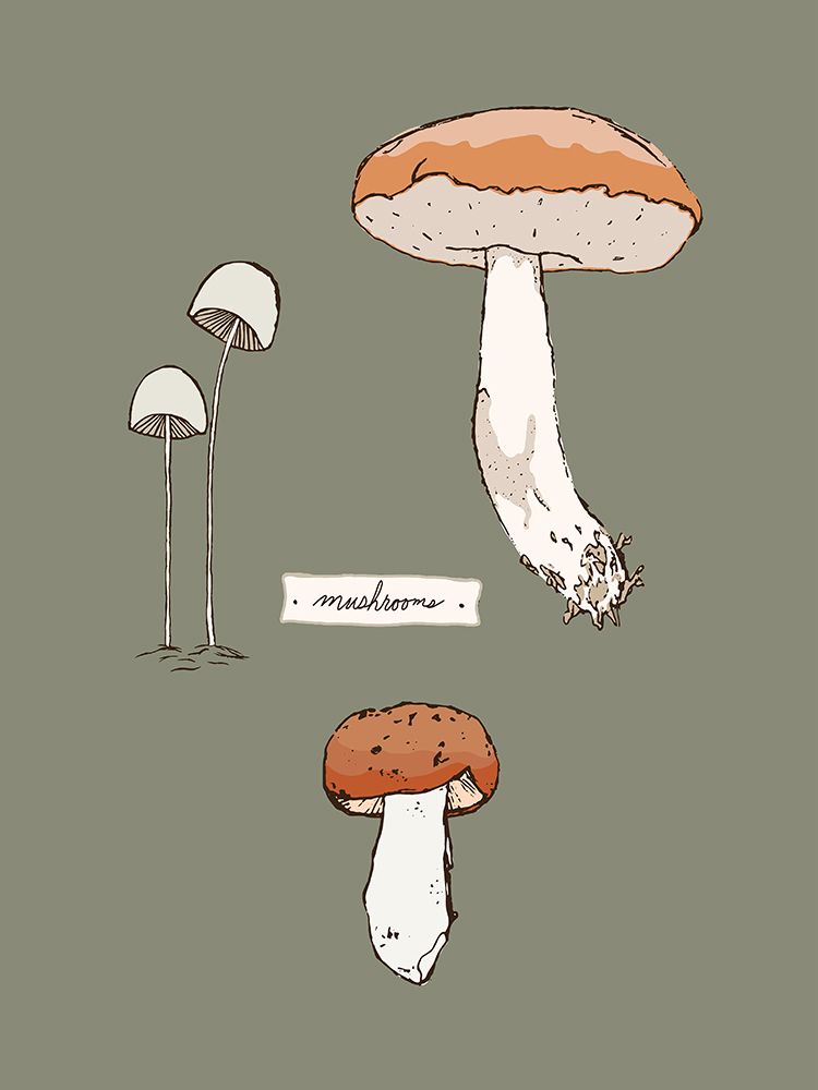 Mushroom Mix art print by Sweet Melody Designs for $57.95 CAD