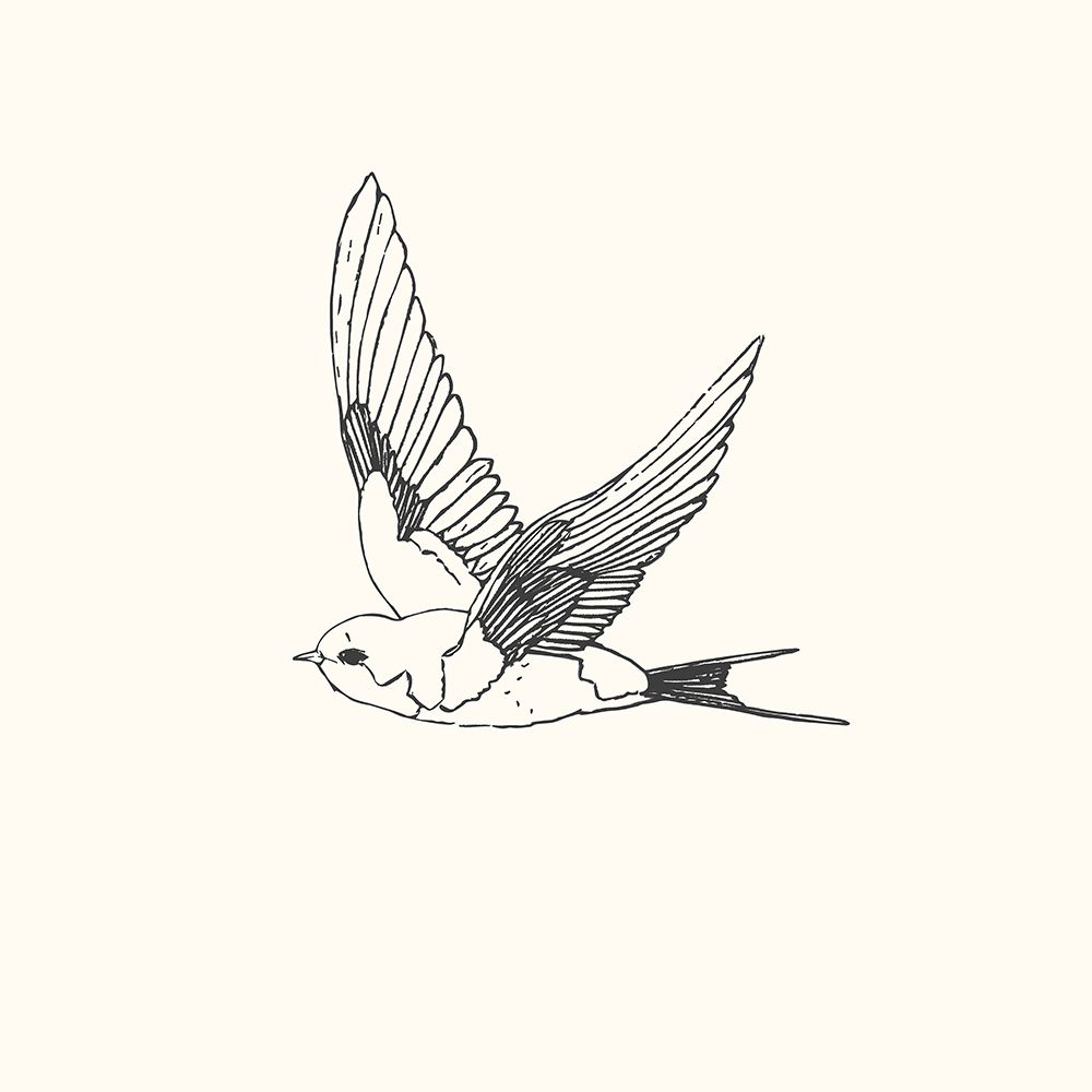 Bird Sketch Swallow 1 art print by Sweet Melody Designs for $57.95 CAD