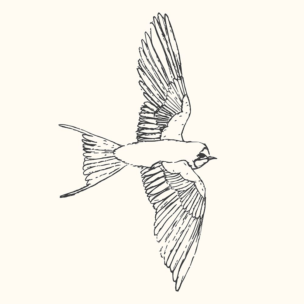 Bird Sketch Swallow 2 art print by Sweet Melody Designs for $57.95 CAD