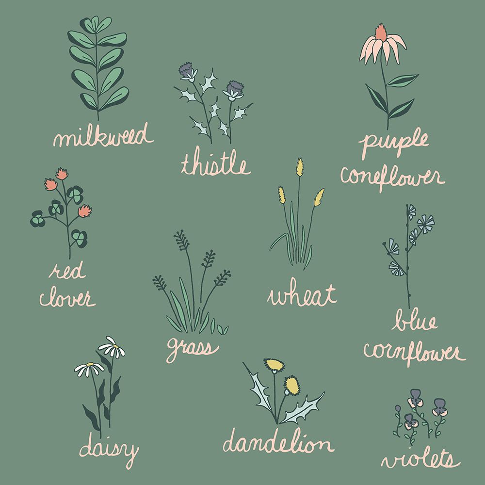 Wildflower Chart art print by Sweet Melody Designs for $57.95 CAD