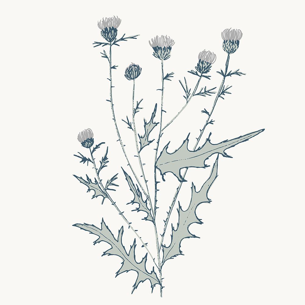 Friendly Fresh Thistle art print by Sweet Melody Designs for $57.95 CAD