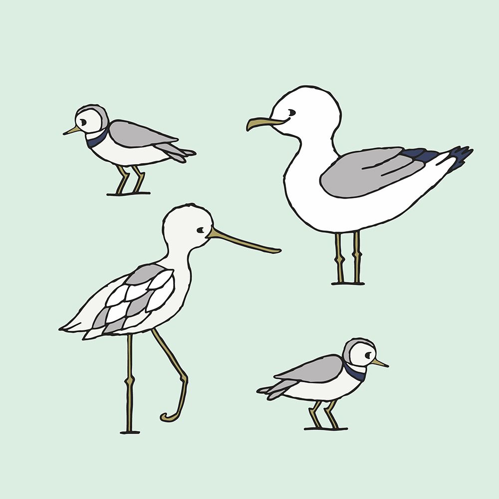 Beach Birds 1 art print by Sweet Melody Designs for $57.95 CAD