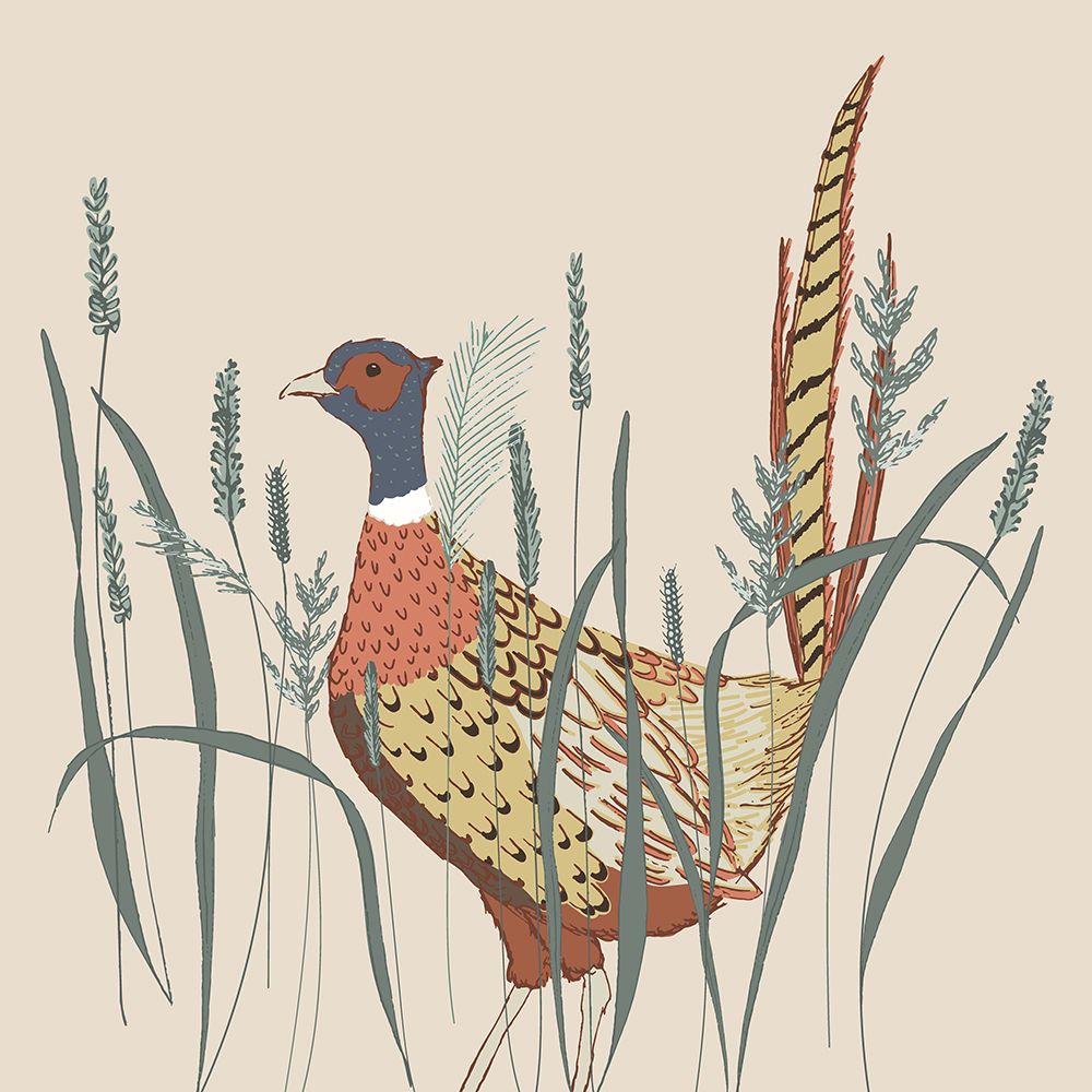 Pheasant art print by Sweet Melody Designs for $57.95 CAD