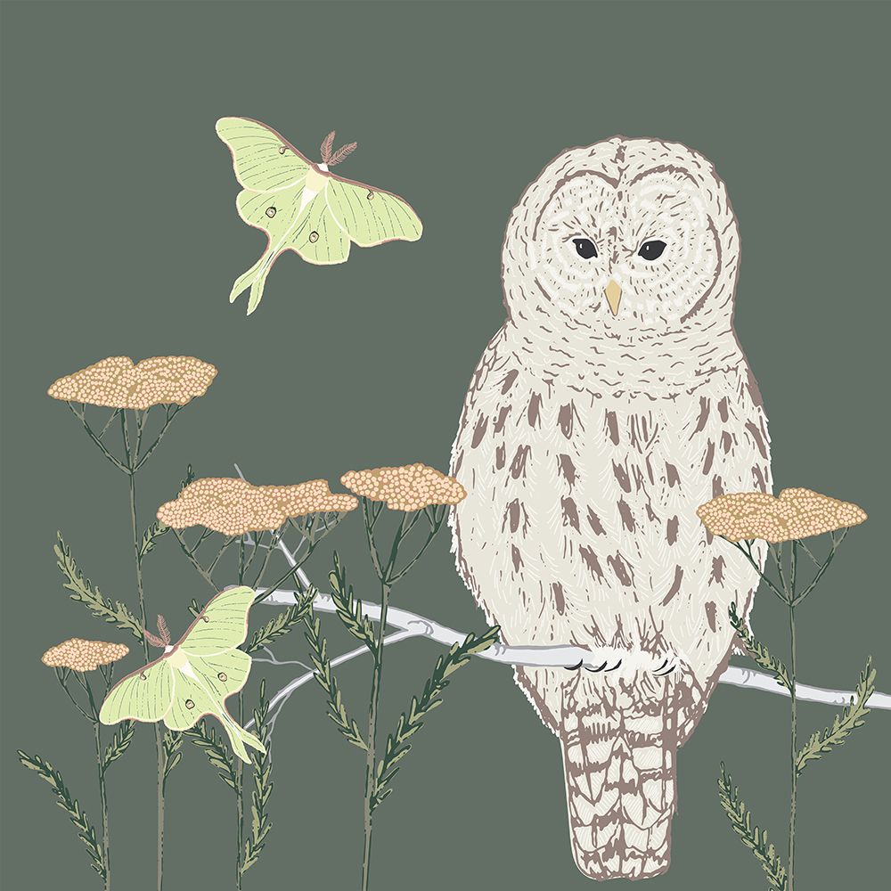 Barred Owl Luna Moth Night art print by Sweet Melody Designs for $57.95 CAD