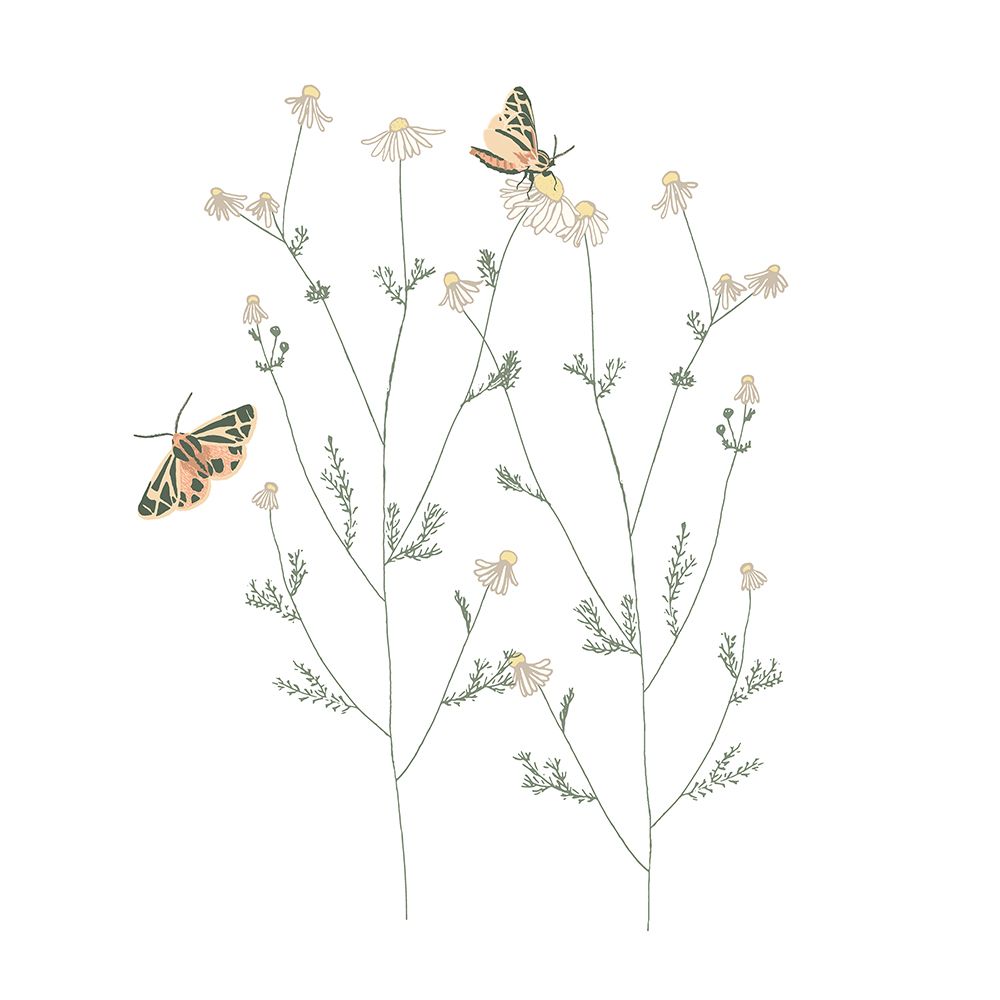 Chamomile And Tiger Moths art print by Sweet Melody Designs for $57.95 CAD