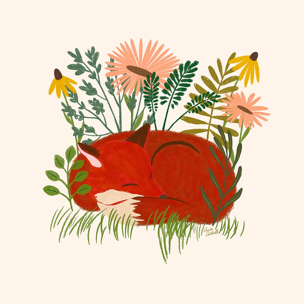 Sleeping Fox art print by Carrie Cantwell for $57.95 CAD