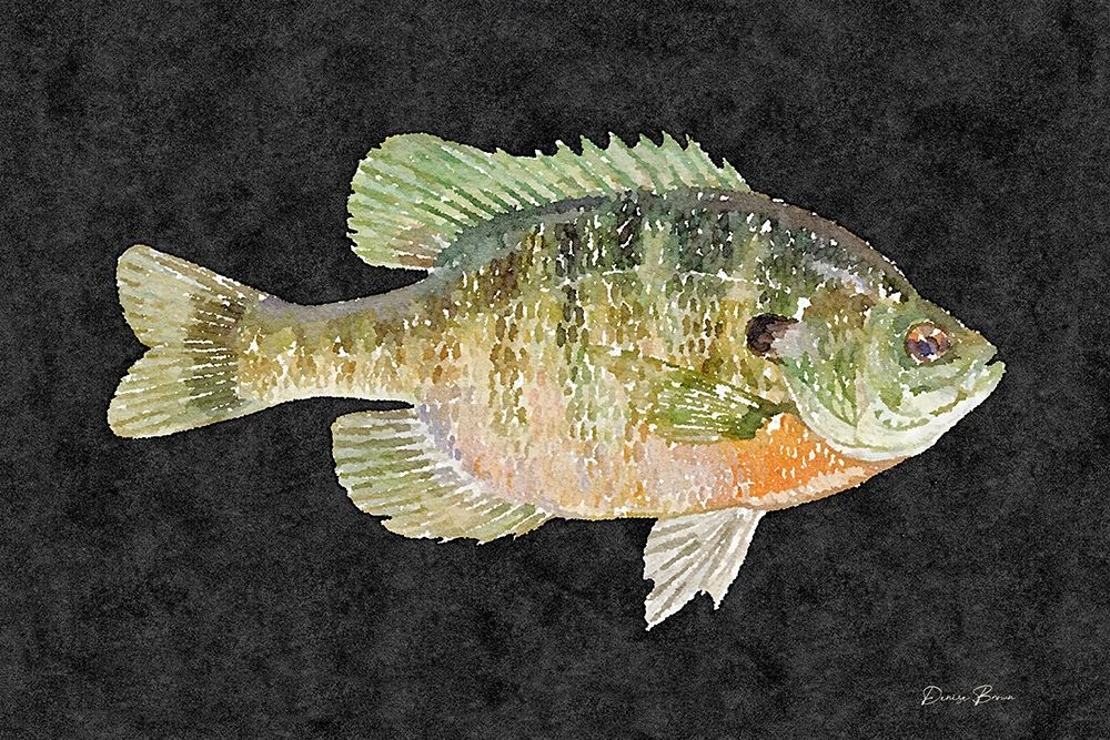 Blue Gill art print by Denise Brown for $57.95 CAD