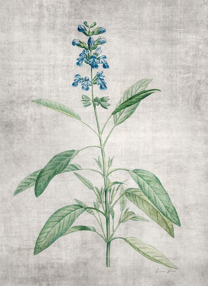Blue Botanical 1 art print by Denise Brown for $57.95 CAD