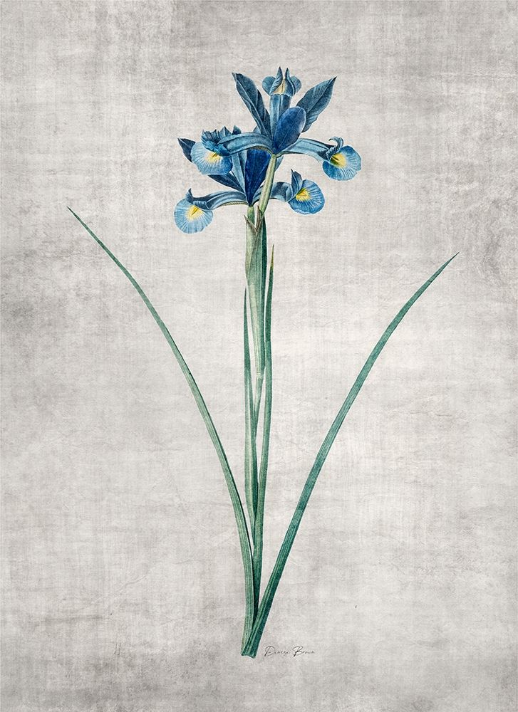 Blue Botanical 2 art print by Denise Brown for $57.95 CAD