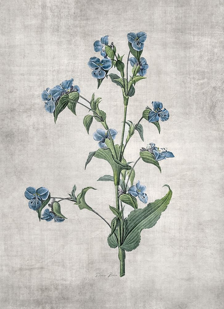 Blue Botanical 4 art print by Denise Brown for $57.95 CAD