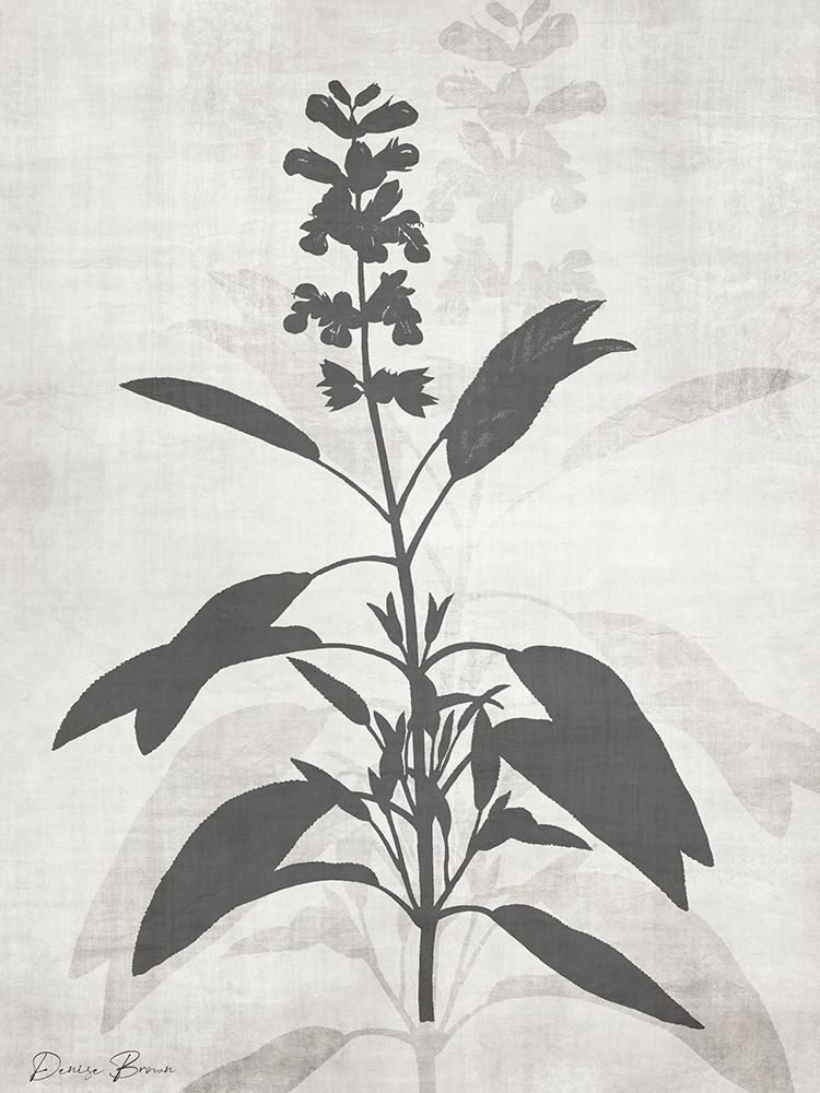 Floral Silhouette 1 art print by Denise Brown for $57.95 CAD