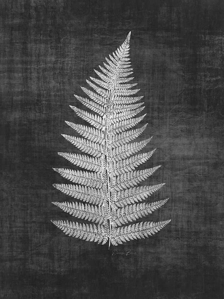 Astor Fern 1 art print by Denise Brown for $57.95 CAD