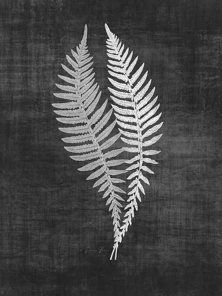 Astor Fern 2 art print by Denise Brown for $57.95 CAD