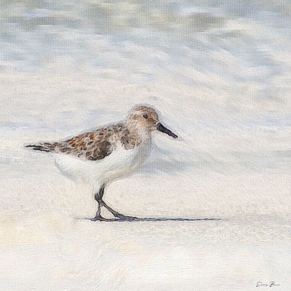 Eclipsed Sandpiper art print by Denise Brown for $57.95 CAD