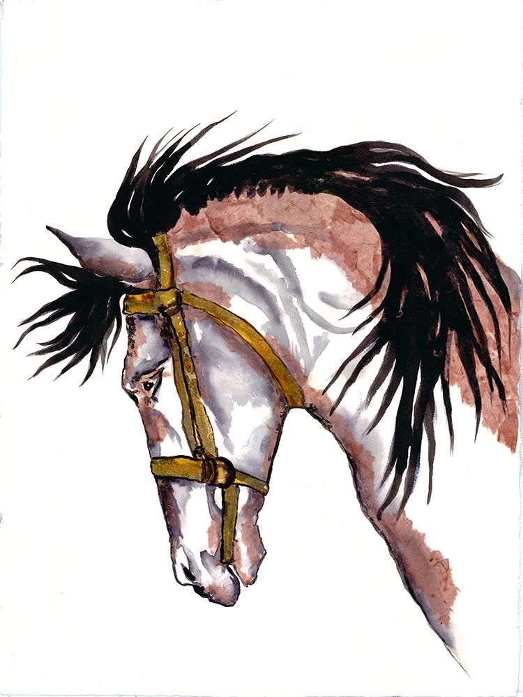 Watercolor Horse art print by Doris Charest for $57.95 CAD