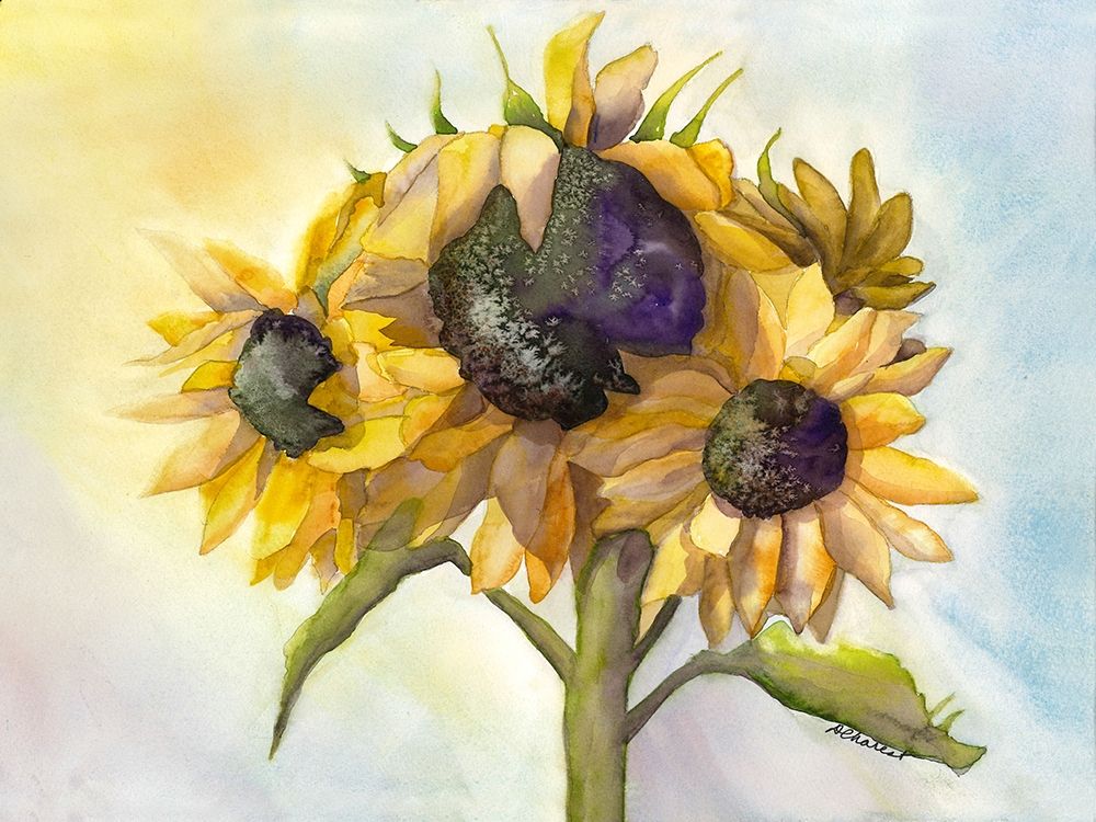 Sunflower Bloom 1 art print by Doris Charest for $57.95 CAD