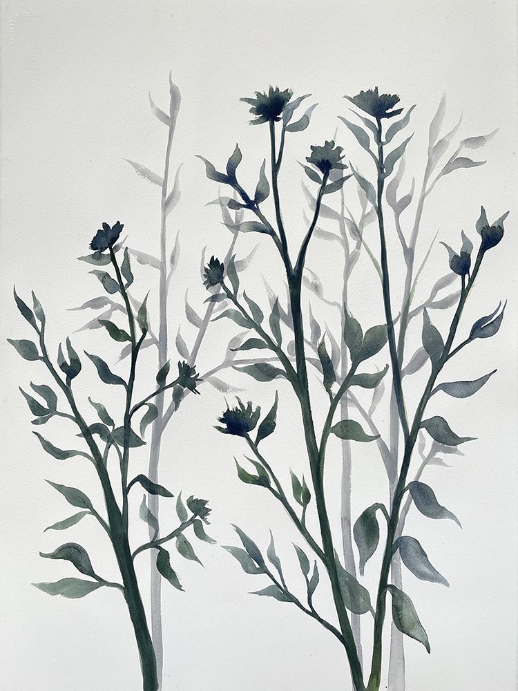 Botanical Inspiration 2 art print by Doris Charest for $57.95 CAD