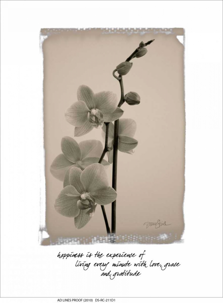 Orchid art print by Diane Stimson for $57.95 CAD