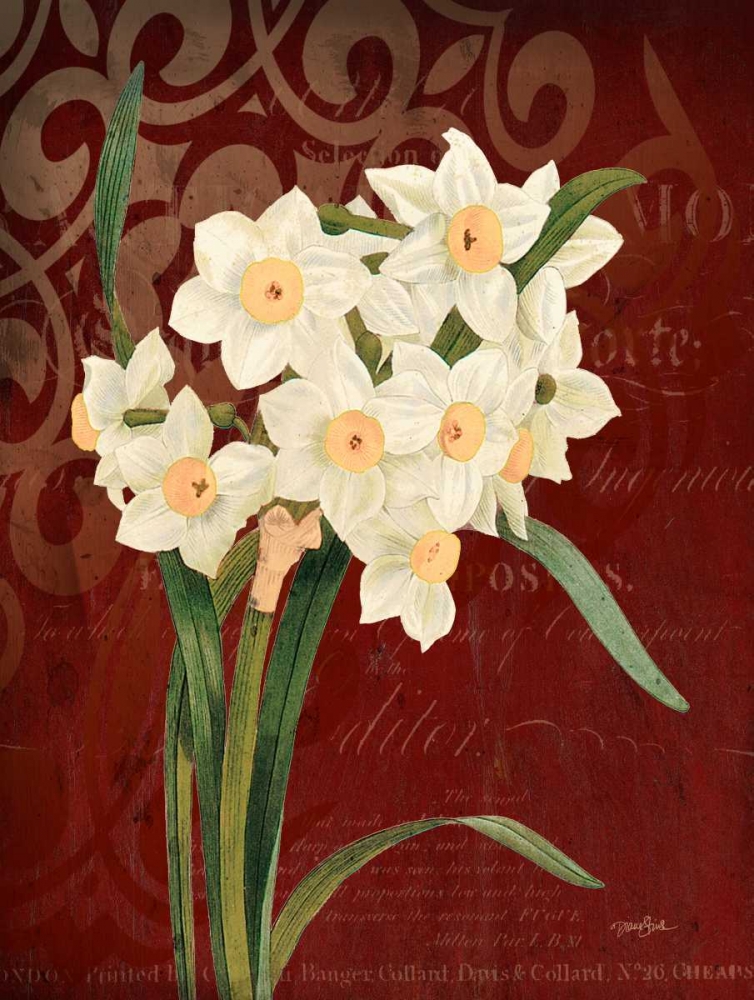 Narcissus 1 art print by Diane Stimson for $57.95 CAD