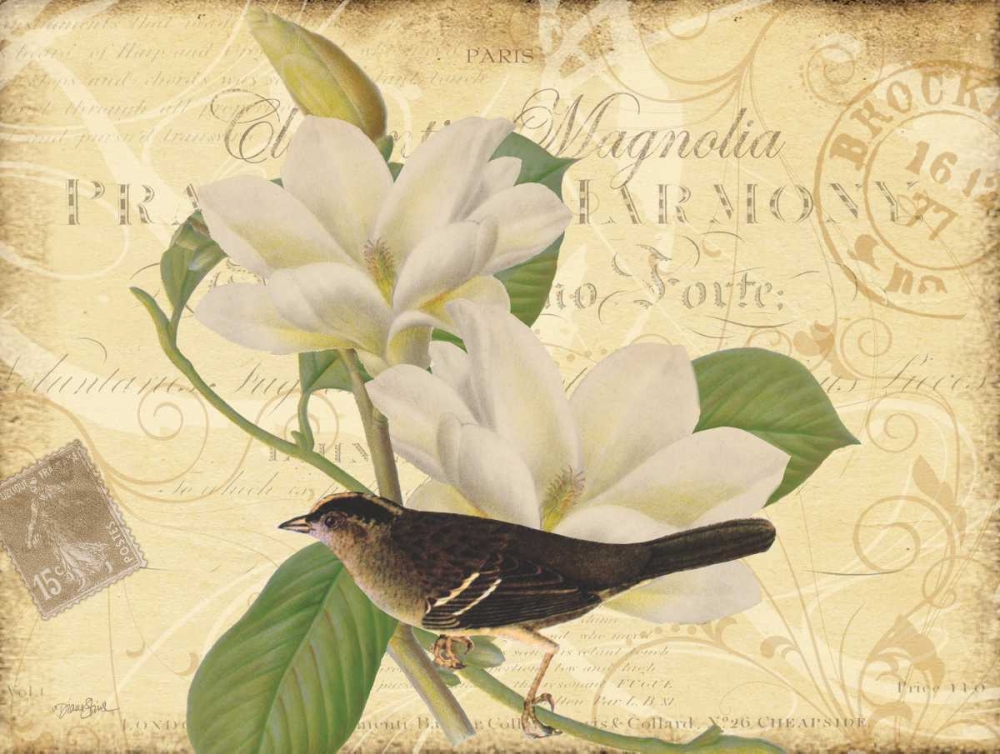 Bird Magnolia art print by Diane Stimson for $57.95 CAD