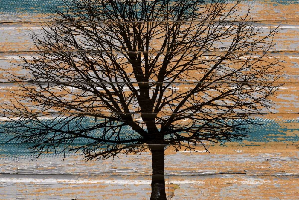 Day Tree art print by Diane Stimson for $57.95 CAD