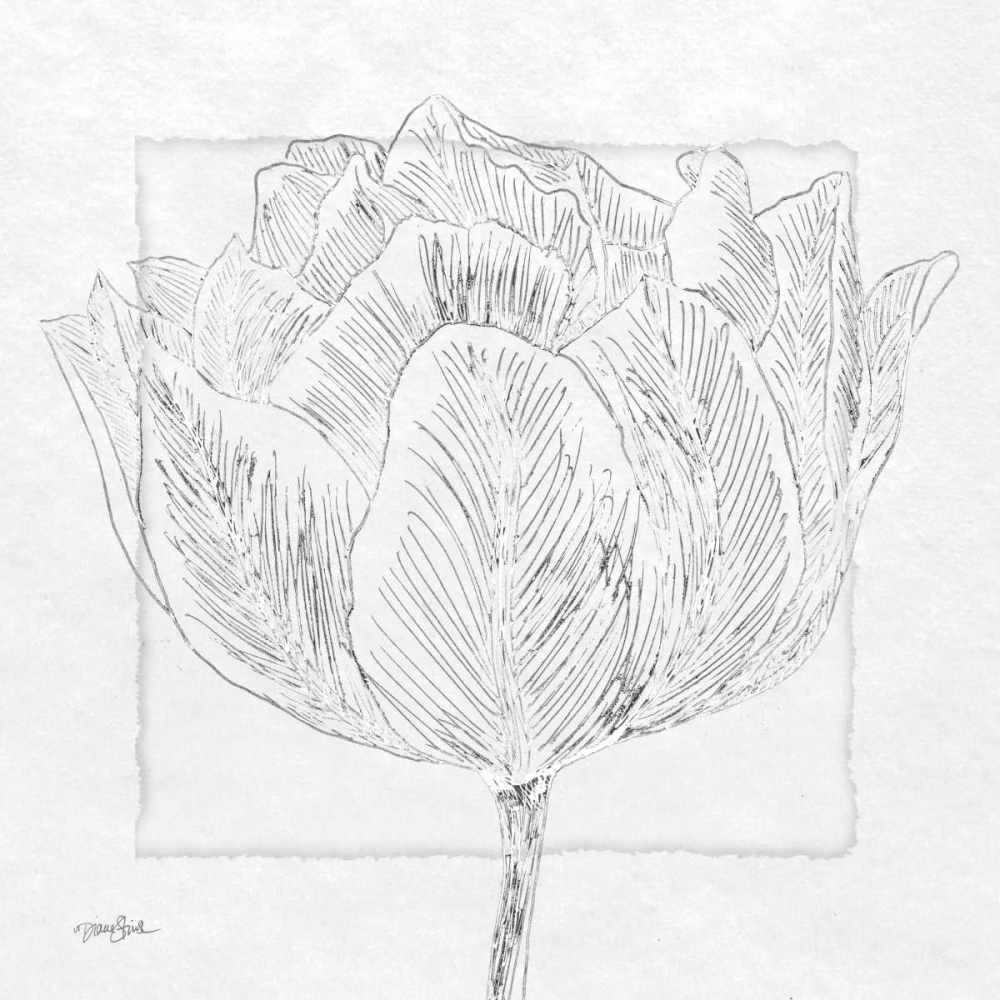 Tulipa 1 art print by Diane Stimson for $57.95 CAD