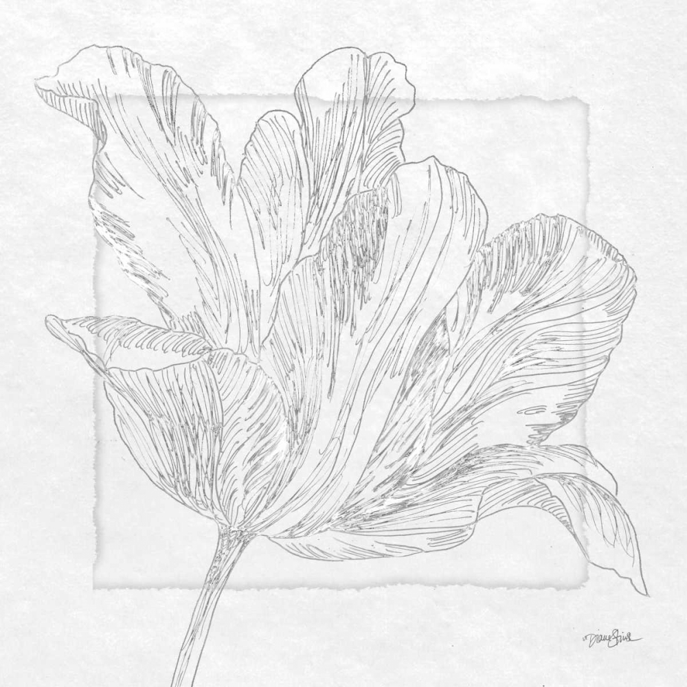 Tulipa 2 art print by Diane Stimson for $57.95 CAD