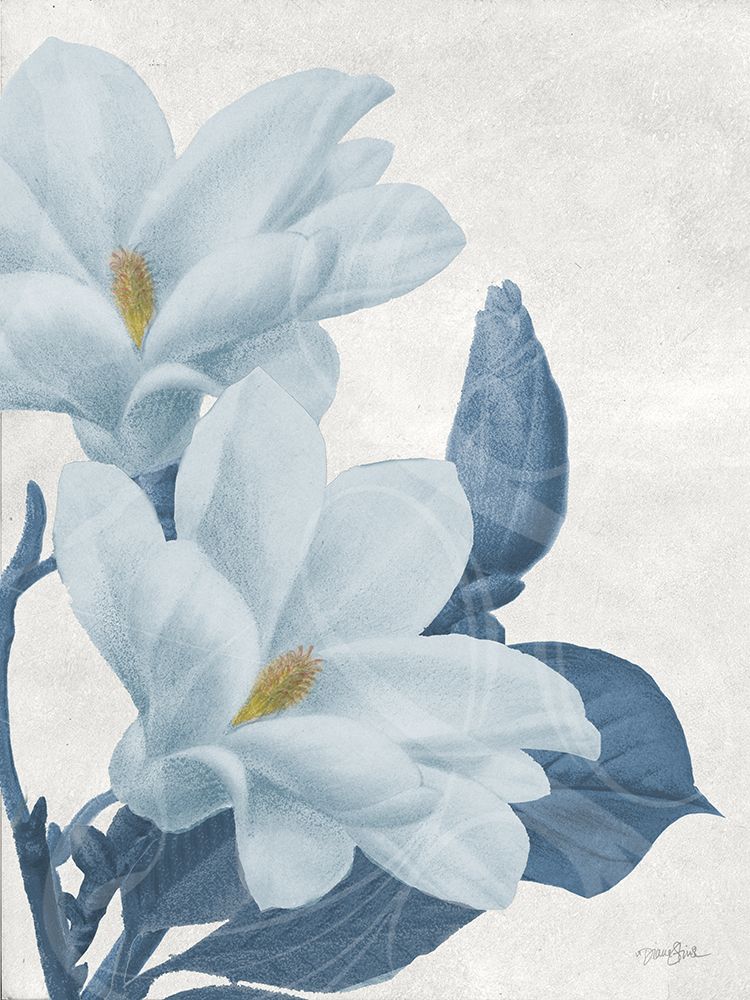 Magnolia Blues 1 art print by Diane Stimson for $57.95 CAD